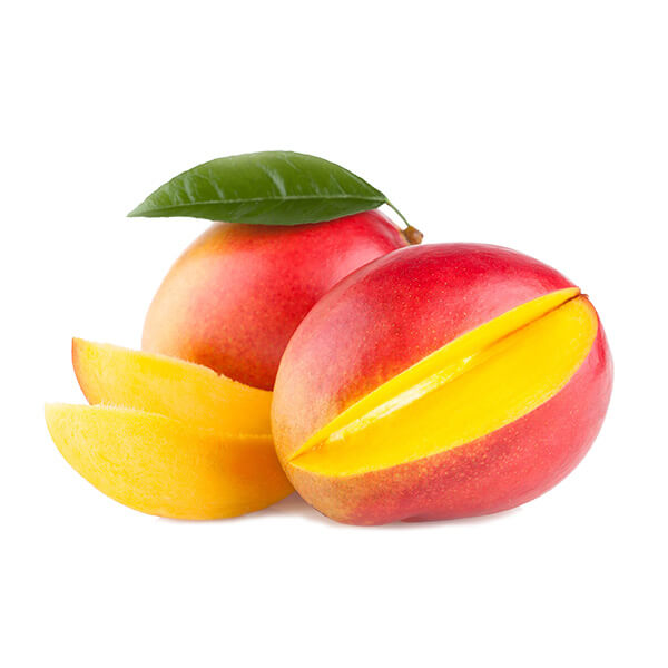 o1 o1